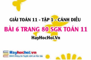 Giải bài 6 trang 80 Toán 11 tập 1 SGK Cánh Diều